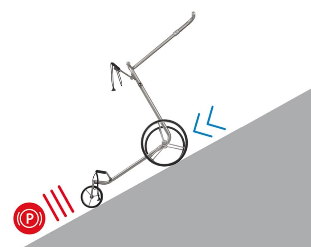 JuCad Carbon Travel Racing 3.0  Elektrotrolley