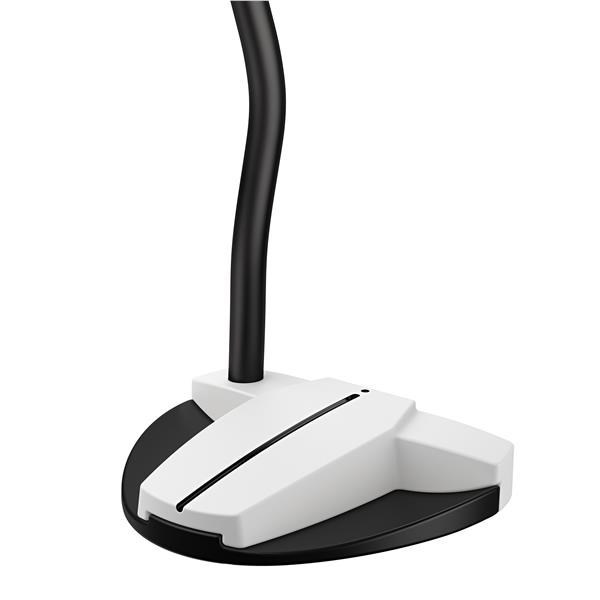 PING Scottsdale Tec Hayden Putter