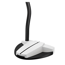 PING Scottsdale Tec Hayden Putter