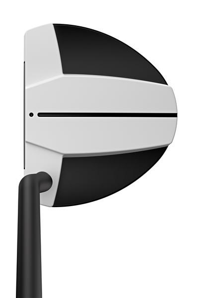 PING Scottsdale Tec Hayden Putter