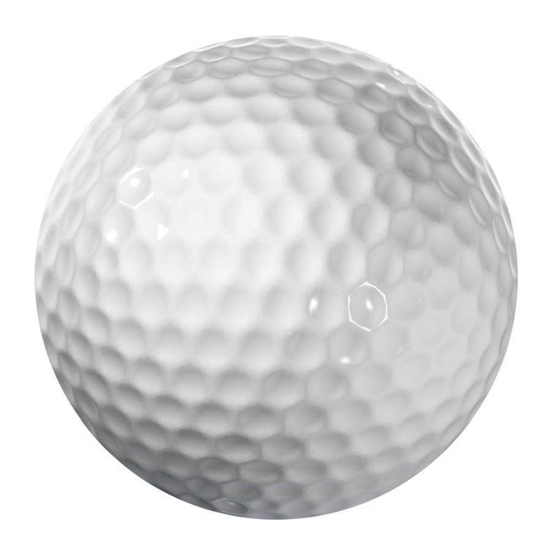 Longridge Blank 2-Piece Golfbälle