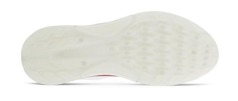 Ecco Biom C4 Herren Golfschuhe, weiss/grau