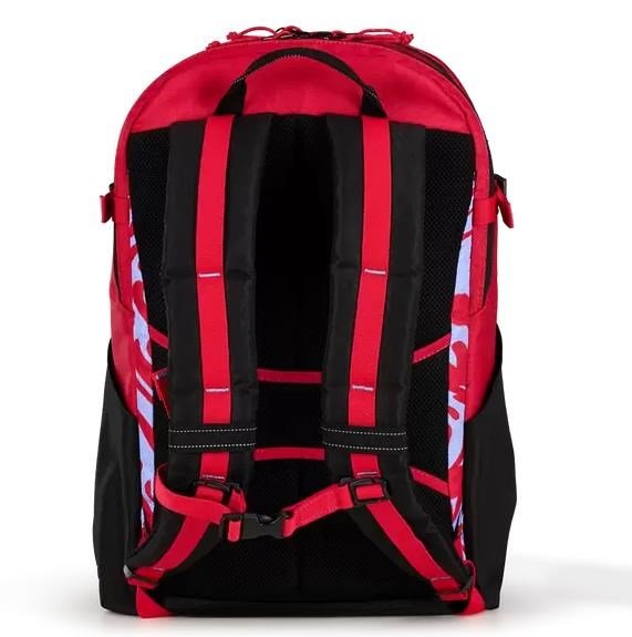Ogio Alpha 25L Rucksack, melting geos