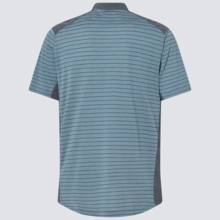 Oakley Fringe Stripe Herren Poloshirt, arctic white