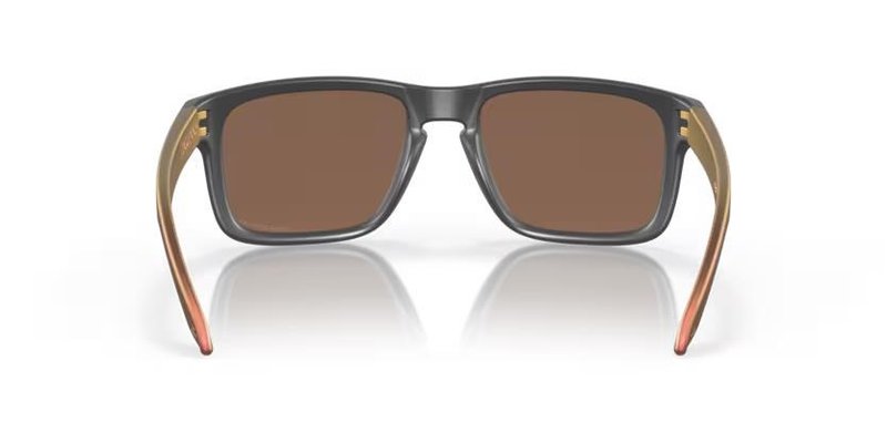 Oakley Holbrook Steel Colection Matte Carbon Prizm 24K Polarized