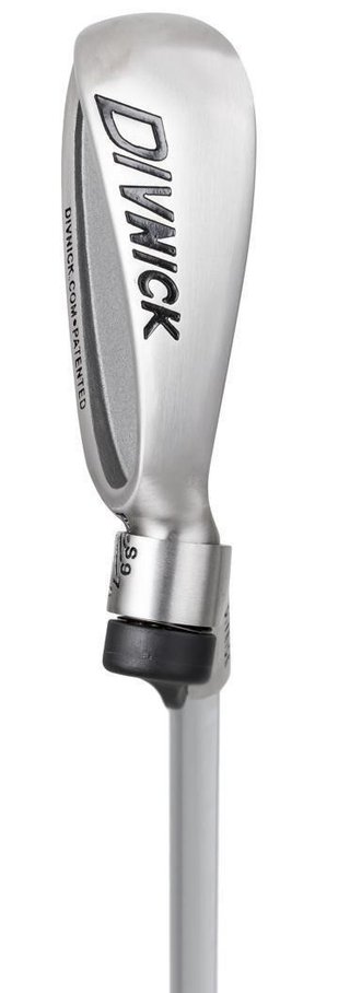 Divnick Golf "Whole-In-One" verstellbarer Teleskop-Golfschläger, Stahl, 38.5"