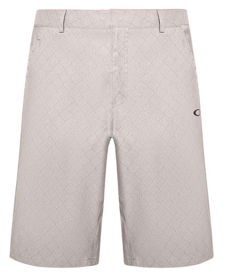 Oakley Performance Terrain Herren Shorts, grau