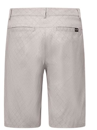 Oakley Performance Terrain Herren Shorts, grau