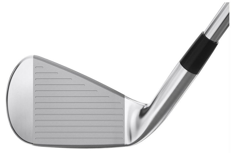 Mizuno Pro 245 Herren Eisen, Stahl