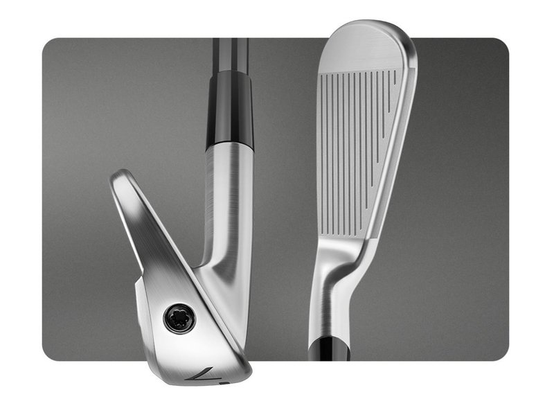 TaylorMade P770 Herren Eisen, Stahl