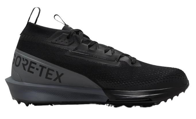 Nike Infinity Tour 2 Gore-Tex Golfschuhe, schwarz