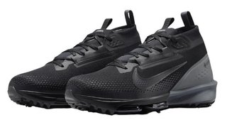 Nike Infinity Tour 2 Gore-Tex Golfschuhe, schwarz