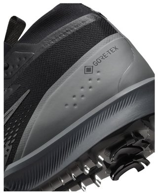 Nike Infinity Tour 2 Gore-Tex Golfschuhe, schwarz