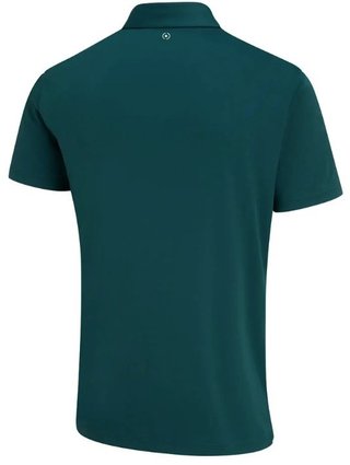 Ping Hall Herren Poloshirt, grün