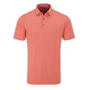 Ping Hershel Herren polo, dubarry multi