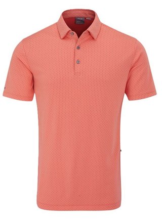 Ping Hershel Herren polo, dubarry multi