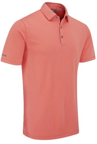 Ping Hershel Herren polo, dubarry multi