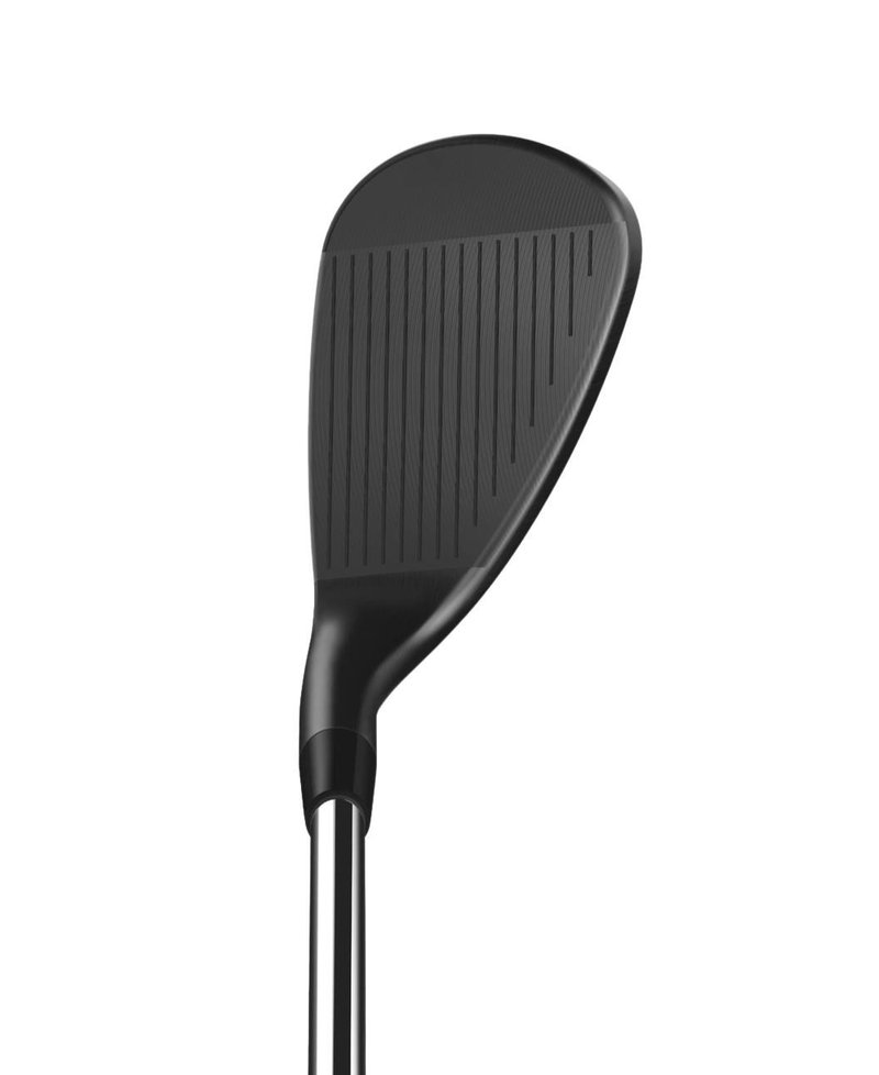 Wilson Infinite Wedge