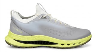 Ecco Biom C5 Herren Golfschuhe, wild dove