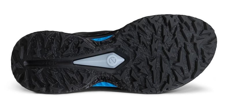 Ecco Biom C5 Boa Herren Golfschuhe, schwarz
