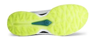 Ecco Biom C5 Boa Herren Golfschuhe, weiss/grün