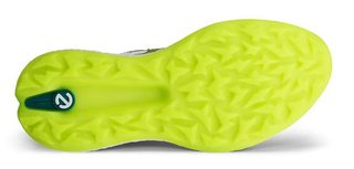 Ecco Biom H5 Herren Golfschuhe, sweet pea/lime punch/baygreen