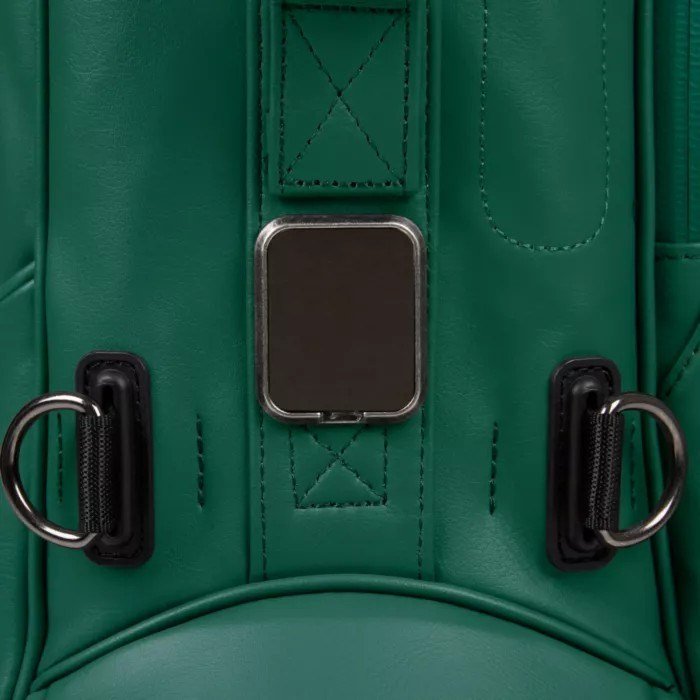 Titleist Linkslegend Members Standbag, grün