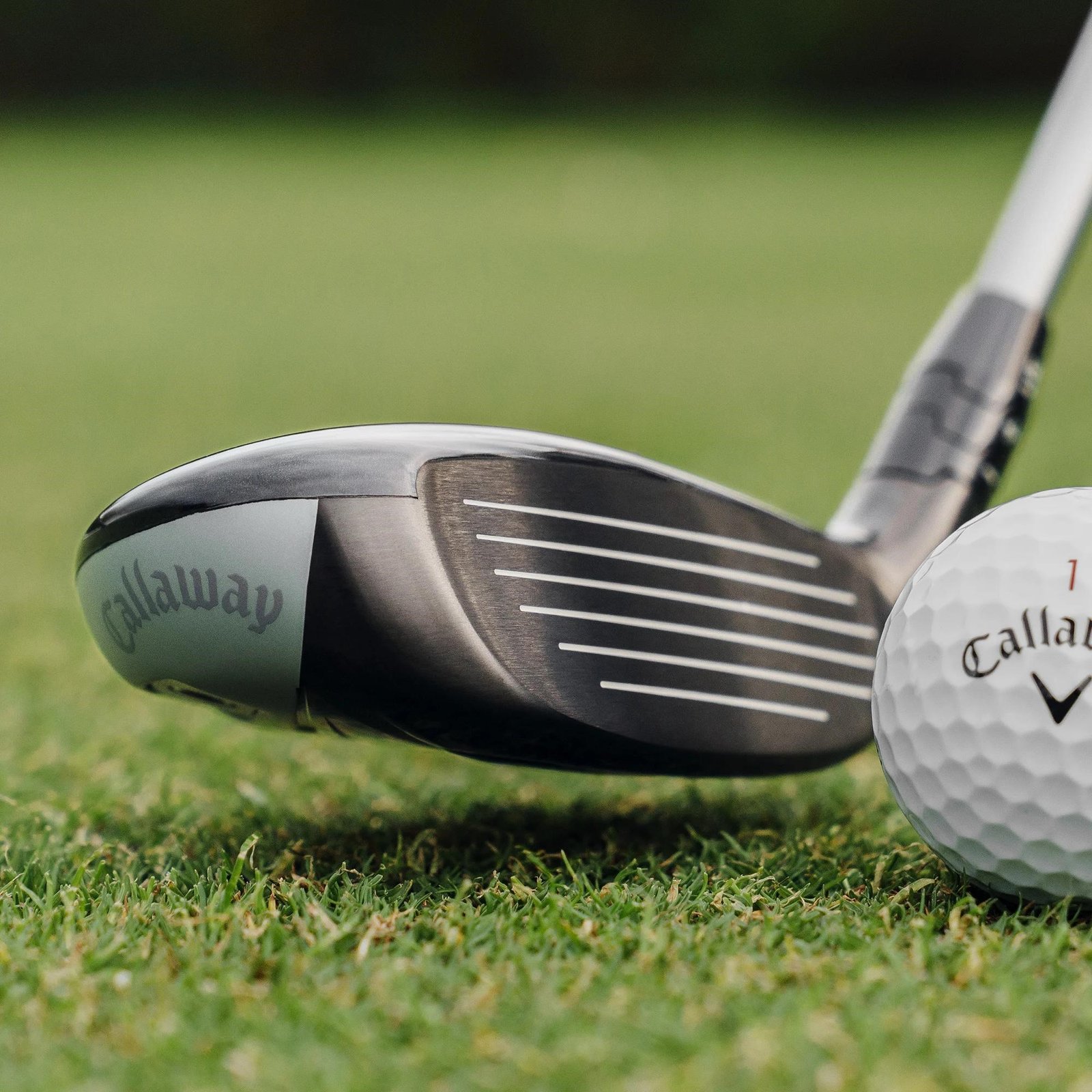 Callaway Quantum Max Herren Hybrid