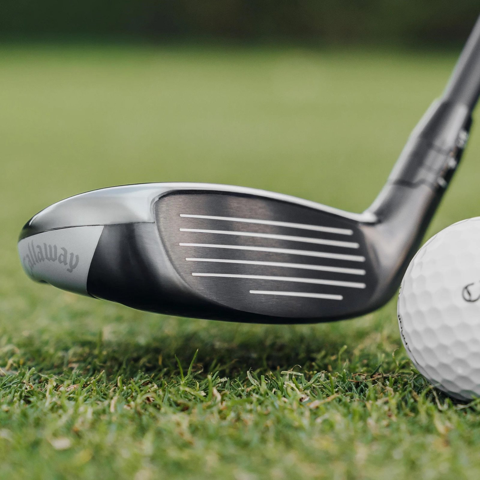 Callaway Quantum Max Fast Damen Hybrid