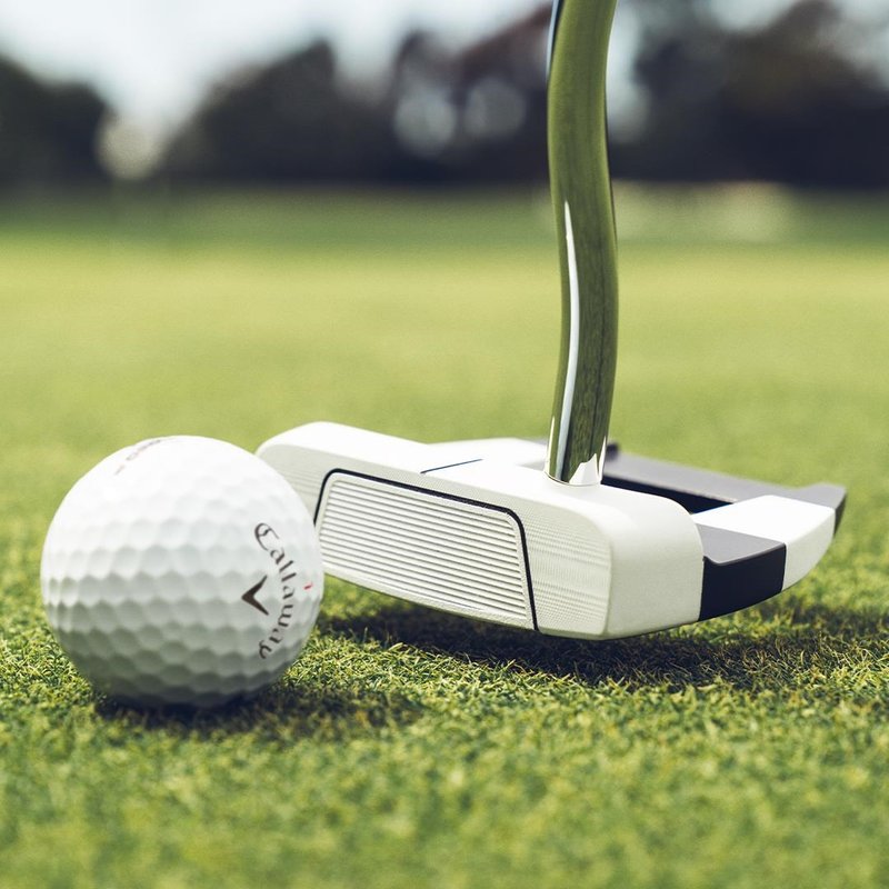 Odyssey Ai-DUAL Jailbird Mini DB Putter
