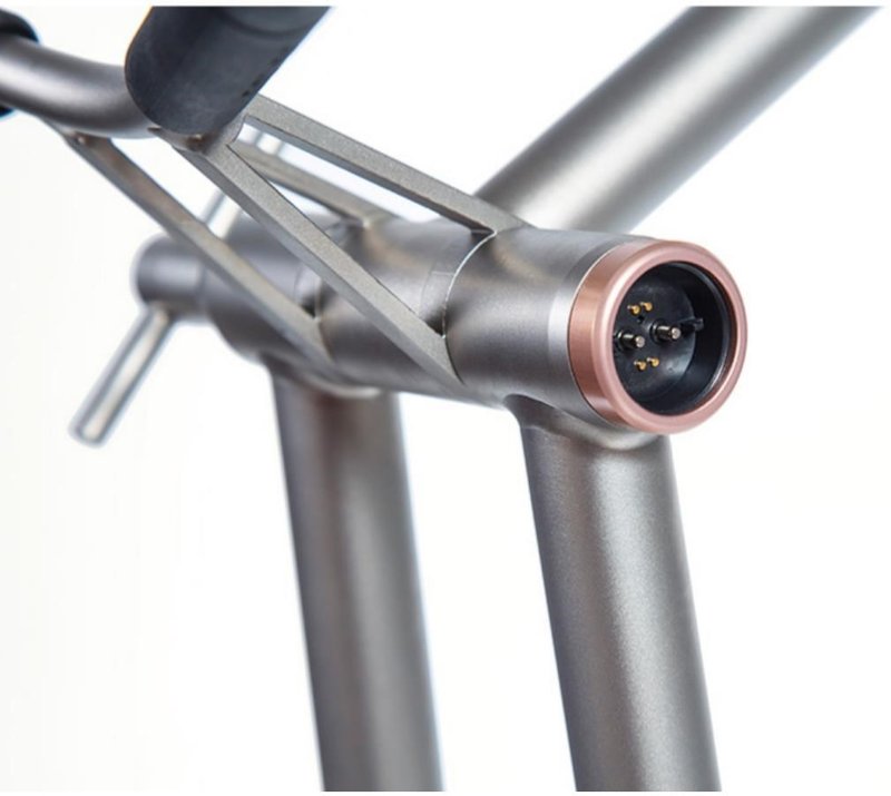 JuCad Phantom Titan Rosé eX 3.0 Elektro-Trolley, rosé