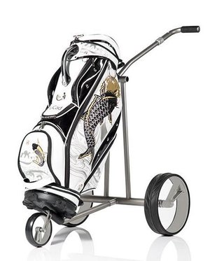 JuCad Phantom Titan 3.0 elektrischer Trolley + Tragetasche, titanium