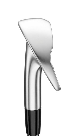 Mizuno Pro M-13 Herren Eisen, Stahl
