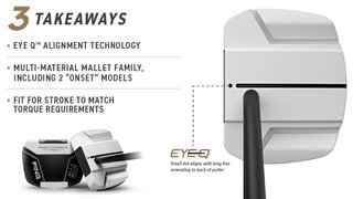 PING Scottsdale Tec Hayden Putter
