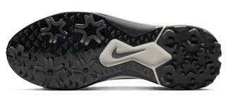Nike Pegasus 1 Herren Golfschuhe, black/sail/white