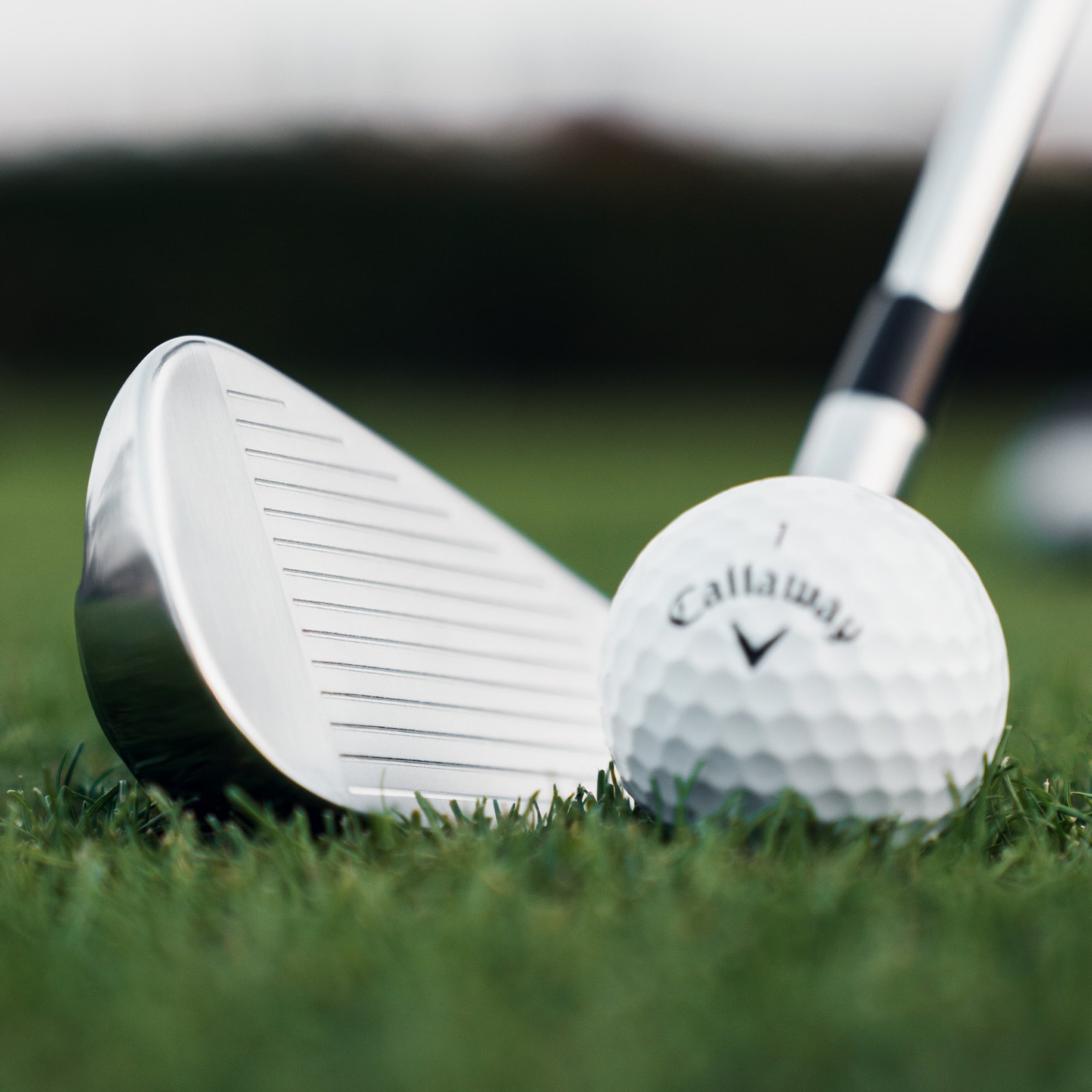 Callaway Quantum Max OS Herren Eisen, Stahl