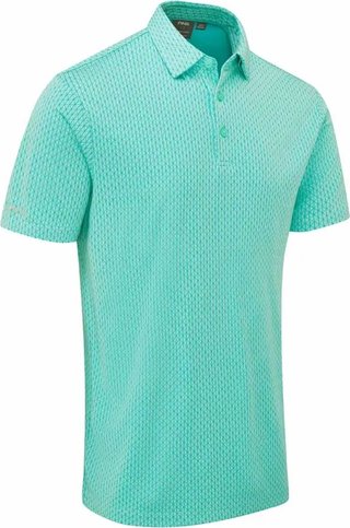 PING Hershel Herren Polo, green bay multi