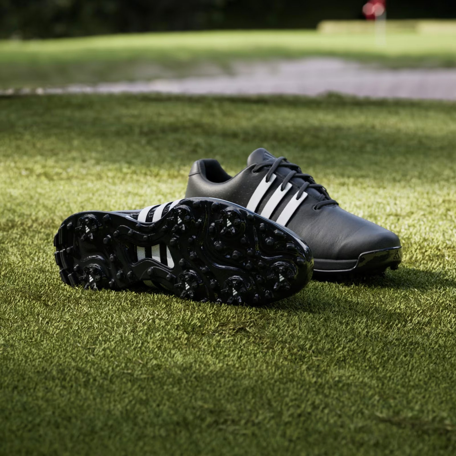 Adidas Tour360 24 Herren Golfschuhe, schwarz