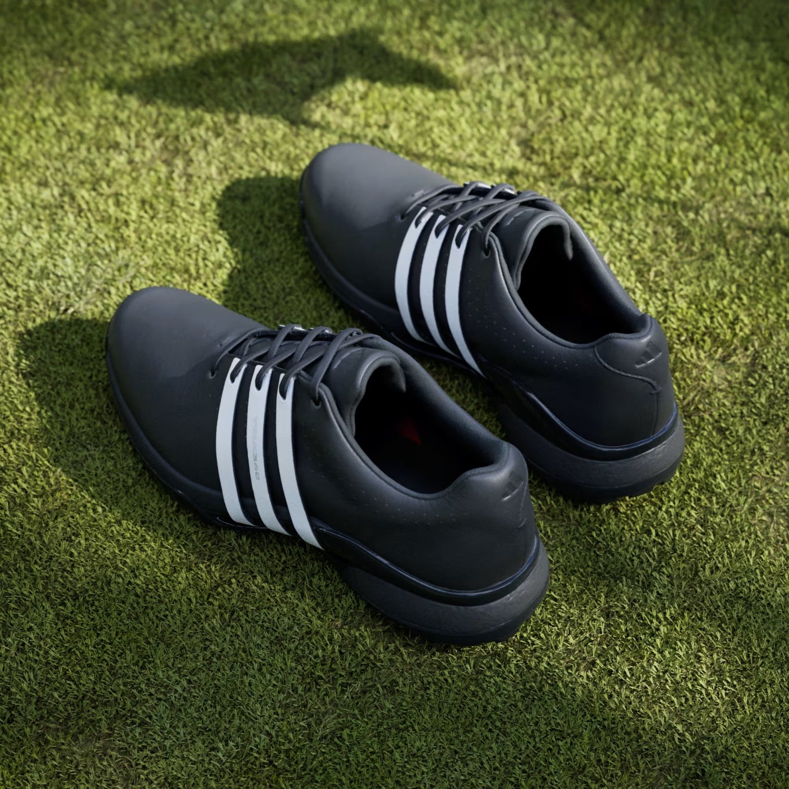 Adidas Tour360 24 Herren Golfschuhe, schwarz