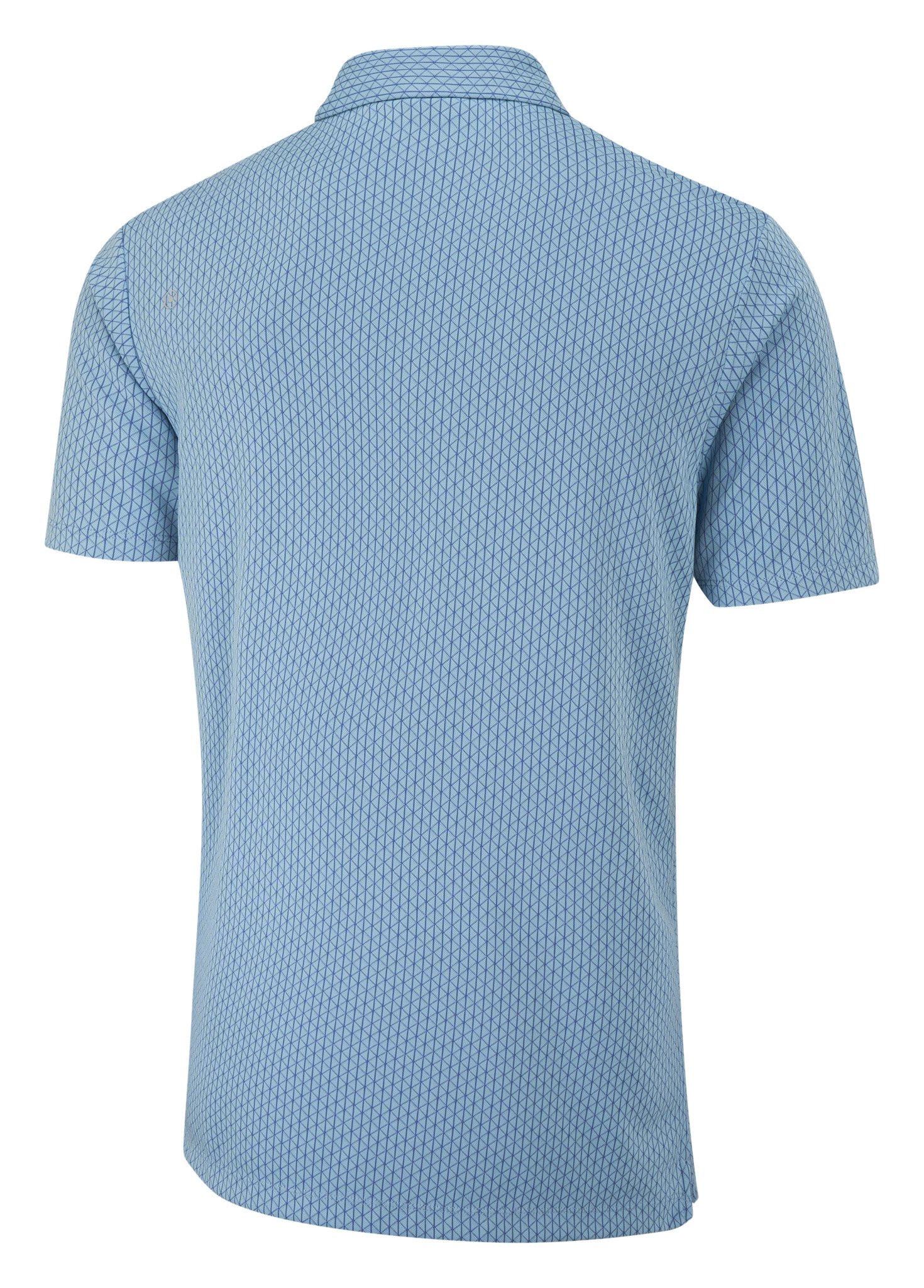 PING Hershel Herren Polo, dusty blue multi