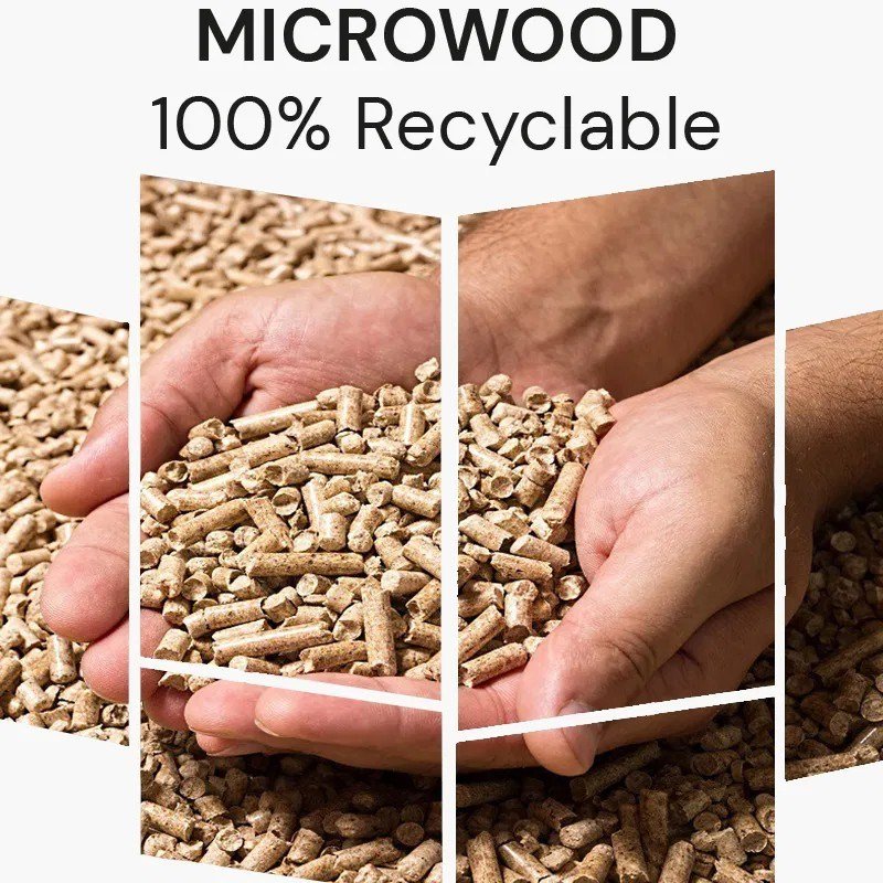 Lignum Tee Plastiktees 72mm, 12Stk., rosa