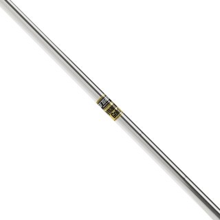 True Temper Dynamic Gold Parallel Unitized Eisenschaft, X100